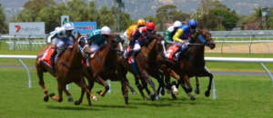 Horse Race